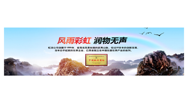 不經(jīng)風(fēng)雨何以見彩虹——在虹潤(rùn)圓夢(mèng)助學(xué)行動(dòng)座談會(huì)上的講話